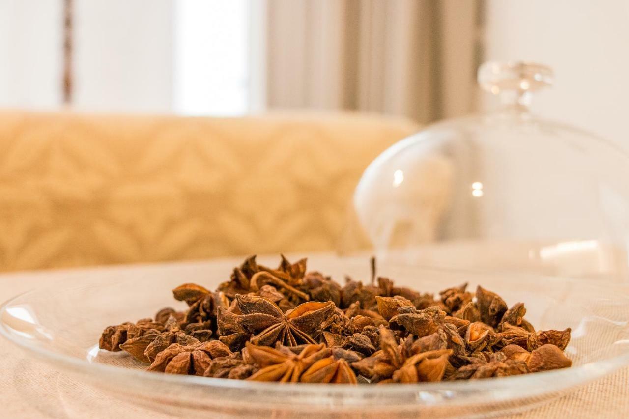 B&B Botanical Boutique Maserà di Padova Exteriér fotografie